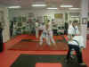 hapkido2.jpg (52202 bytes)