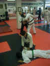 hapkido3.jpg (54223 bytes)