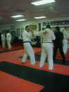 hapkido4.jpg (49971 bytes)