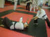 hapkido7.jpg (49275 bytes)